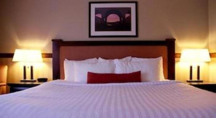 Best Western Diamond Inn Three Hills Dış mekan fotoğraf