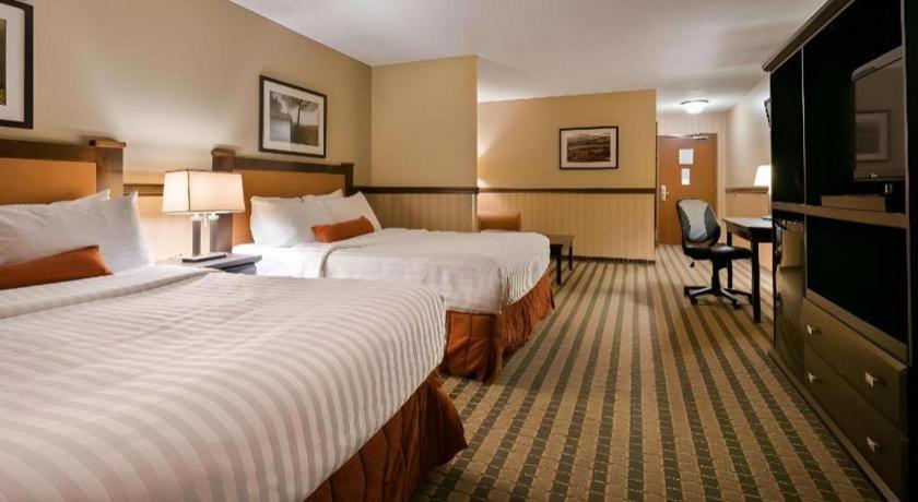 Best Western Diamond Inn Three Hills Dış mekan fotoğraf