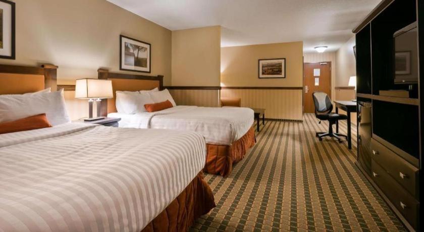 Best Western Diamond Inn Three Hills Dış mekan fotoğraf