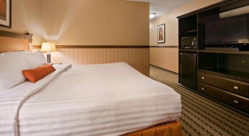 Best Western Diamond Inn Three Hills Dış mekan fotoğraf